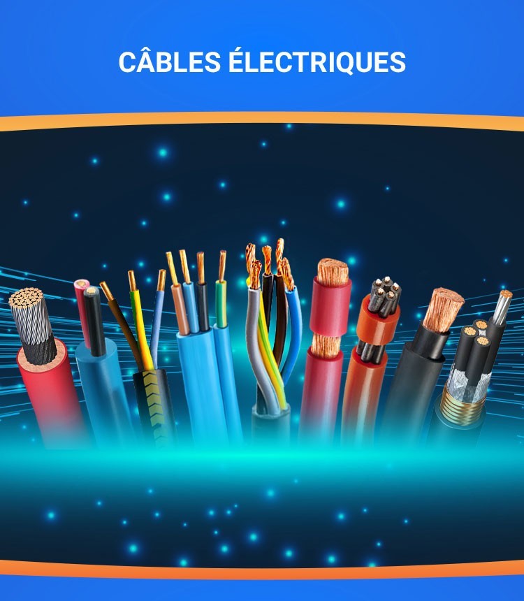 Câbles électriques